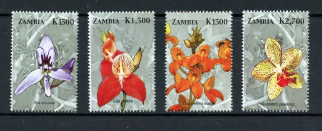 K933 Zambia 2005 Flore Fleurs Orchidées 4v. MNH