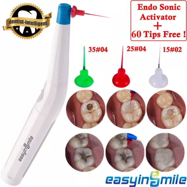 Dental Endodontic Endo Activator Irrigator Root Ultrasonic Cleaner Scaler +60Tip