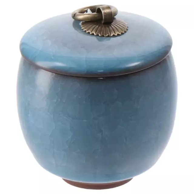 Ceramic Human Ashes Urns Mini Token Urns for Storing Cremation Ashes