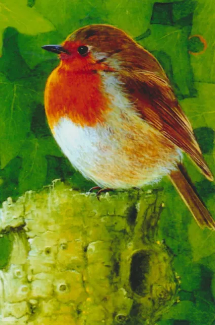 Nature Wildlife ROBIN Garden Bird Wall Art Print REDBREAST RED BREAST Fab Gift