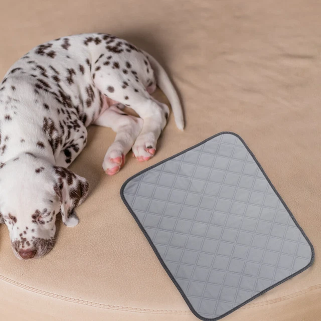 Käfig Tiere Frettchen Käfig Liner Bunny Bettwäsche Für Ausbildung Hause 12