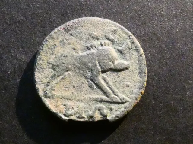 T8.16. Roman Provincial, Geta, Ionia, Ephesus, AE17.