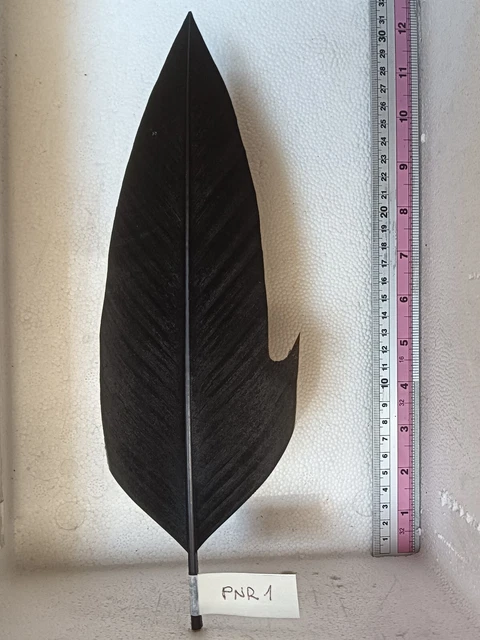 Penna Per Cappello Alpino Nera Con Rimbecco
