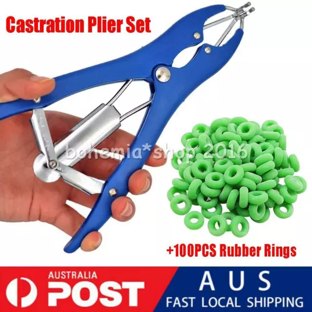 Plier & 100 Rubber Rings For Sheep Goat Marking Castration Castrator Docking