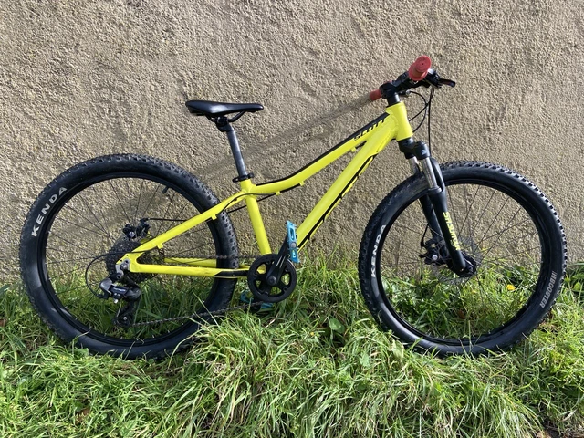 Scott scale yellow deals