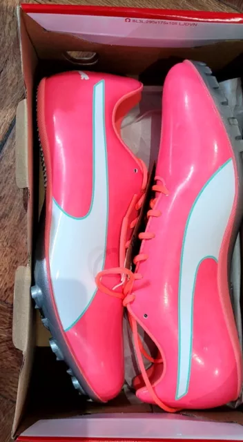 Puma Evospeed Pink Football Boots - size 10 - in Box!