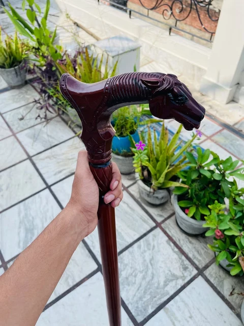 Silhouette Stylisée D'une Fille Sur Un Cheval, Décorée Des Fleurs Dans