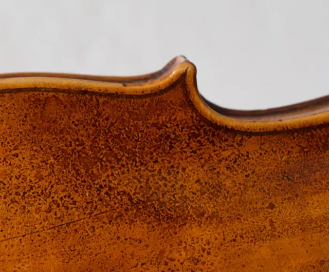 old violin 4/4 geige viola cello fiddle label DAVID TECCHLER Nr. 1664