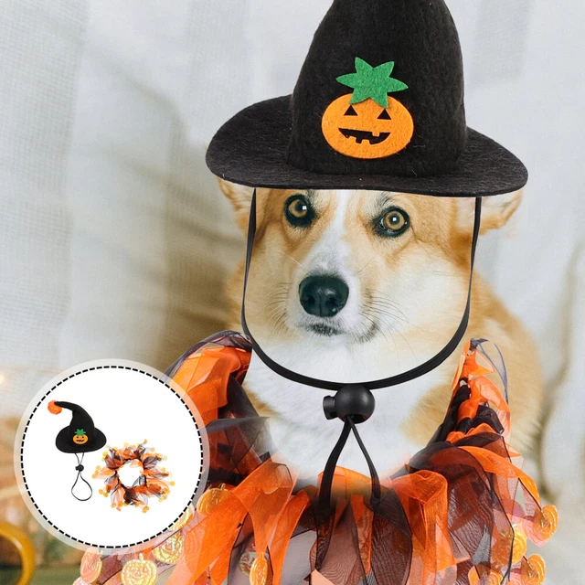 1 Set Hunde Halloween Kostüm Katze lustige Hut dekorative Katzenschalte