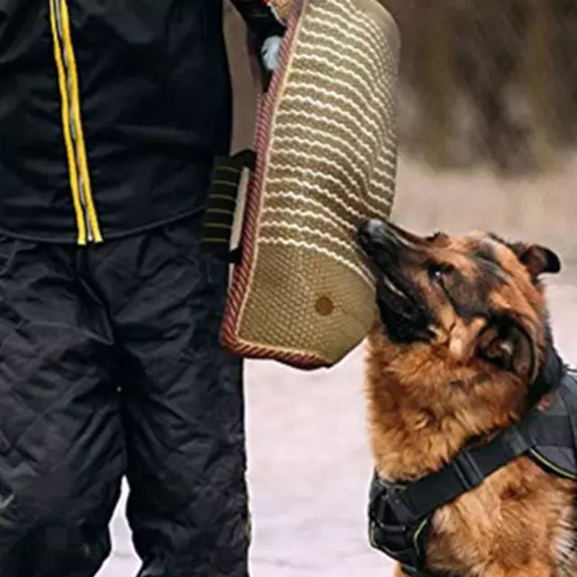 Dog Bite Sleeve Trainer Biting Training Protection Remorqueur Gardes pour 3