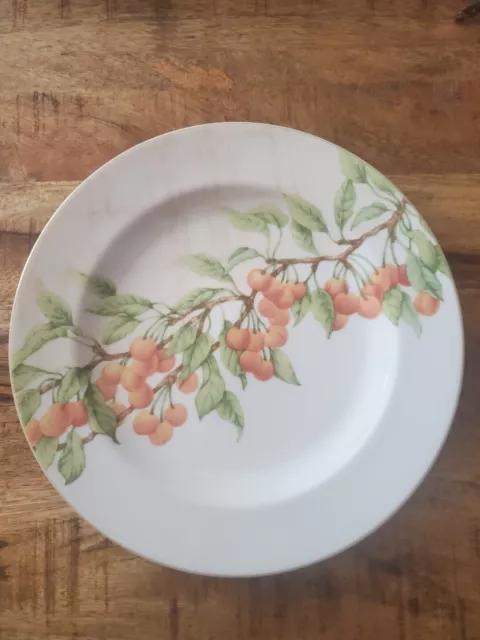 Vintage Block Basics Mansfield Grove Dinner plate, 10' 1/2” Cherries