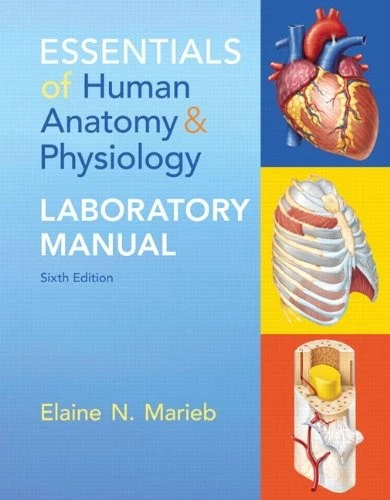 ESSENTIALS OF HUMAN ANATOMY & PHYSIOLOGY LABORATORY MANUAL By Elaine ...
