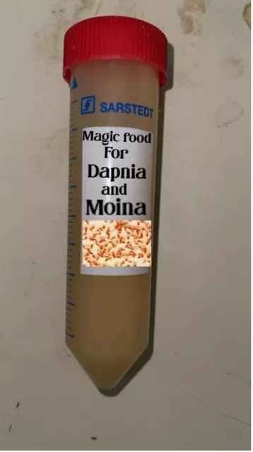 Daphnia Magna combo kit.Buy 2 kits & Get 2 Extra Bags Of Daphnia Magna Culture. 3