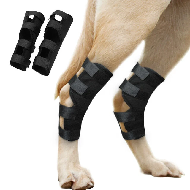 Dog Knee Brace for Torn Acl Hind Leg Large Small Back Legs Arthritis Pet Injury
