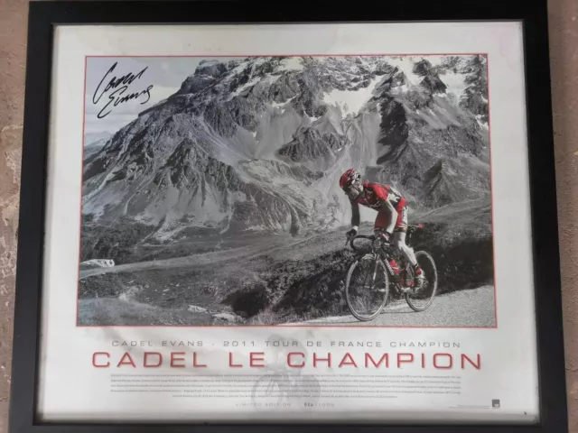 Cadel Evans Champion Alpine Signed - Limited Edition