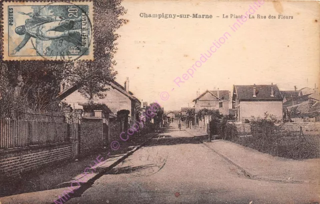 CPA 94500 CHAMPIGNY SUR MARNE Le Plant rue des fleurs