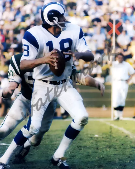 NFL Los Angeles Rams QB Roman Gabriel Color Game Action 8 X 10 Photo Picture