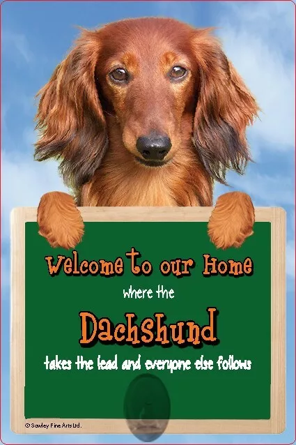 DACHSHUND dog lead holder sign Dachshunds Welcome to our Home sign dog signs