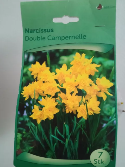 Ampoule de Narcisse Double Campernelle Plantes Sac Avec 7 Bulbes