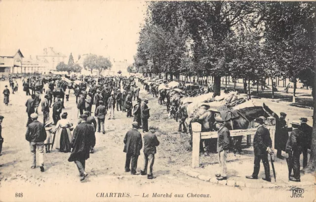 Cpa 28 Chartres / Le Marche Aux Chevaux