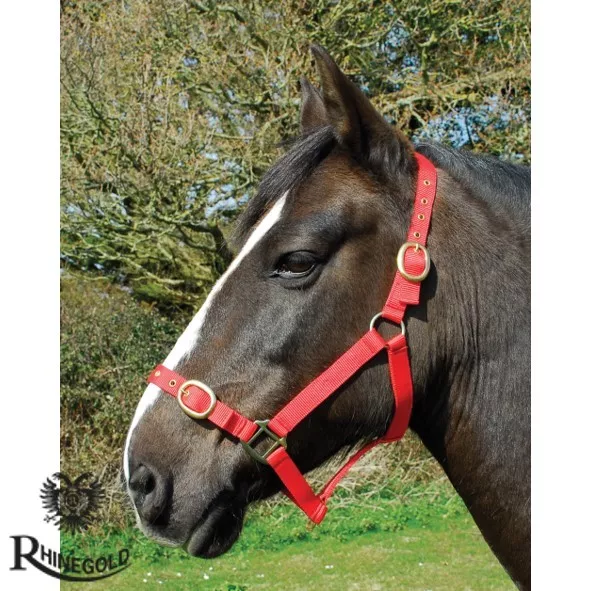 Nylon Headcollar & Lead Rope set by Rhinegold  Fully Adjustable  Various Colours