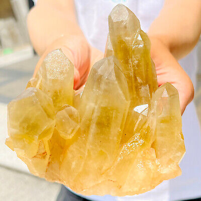 964G  Natural Citrine cluster mineral specimen quartz crystal healing-AE078