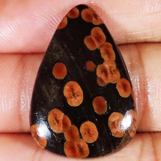 (21x32x05 MM Größe) 27.15 Cts. Natürlich Erdnuss Obsidian Birne Form Lose