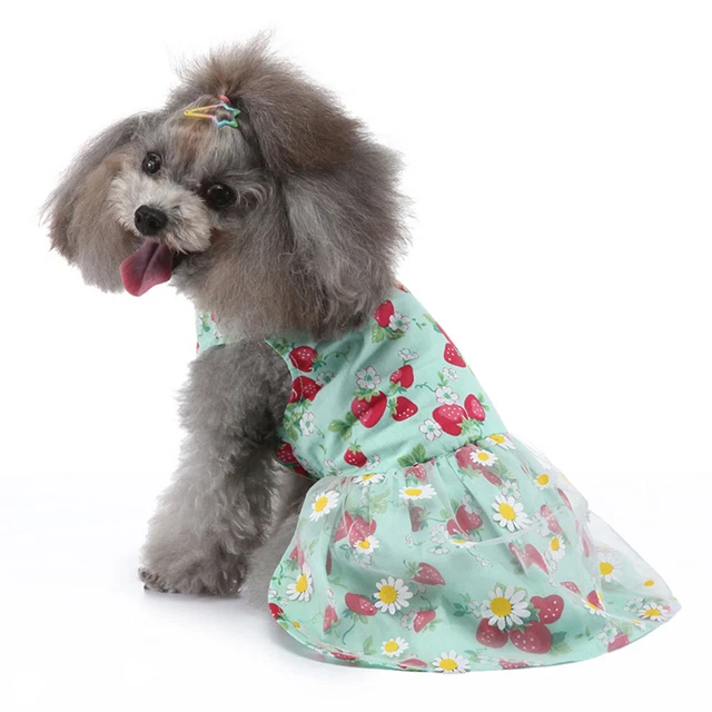 (L)Hundekleid Hellgrünes Blumen-Welpenkleid Haustier-Hund