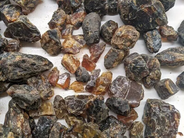 100℅ Natural Mix Size Baltic Amber Rough LB Wholesale Gemstone Bulk Lot