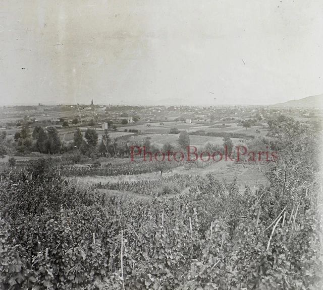 FRANCE Paysage Vignoble Vignes c1920 Photo Plaque de verre Vintage V28L29n8