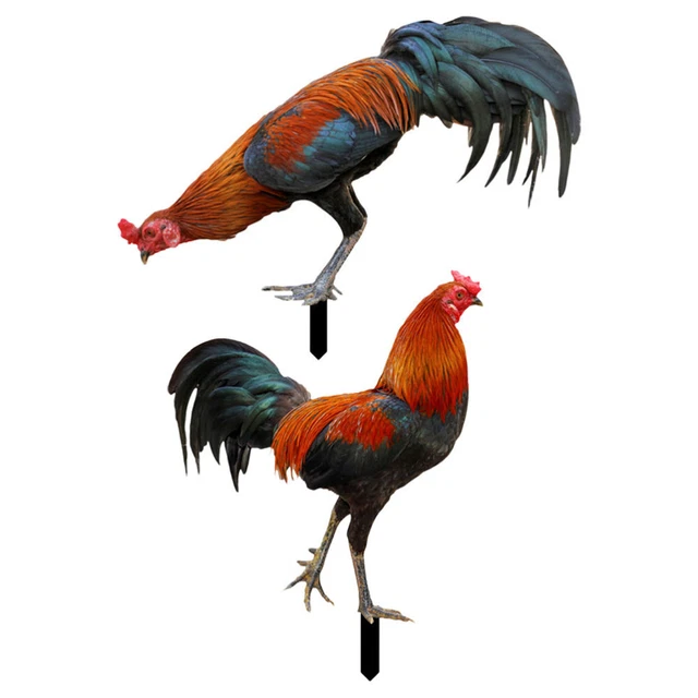 4 Pcs  Chicken Yard Stake Garden Rooster Animal Stake Ornamental Gardening Stake 3