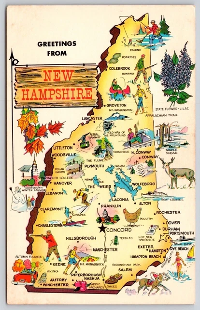 Greetings New Hampshire Lilac State Flower Dartmouth Winter Carnival Postcard