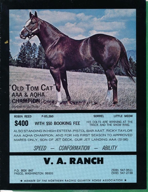 Magazine Ad - 1971 - V.A. Horse Ranch, Pasco, WA - OLD TOM CAT