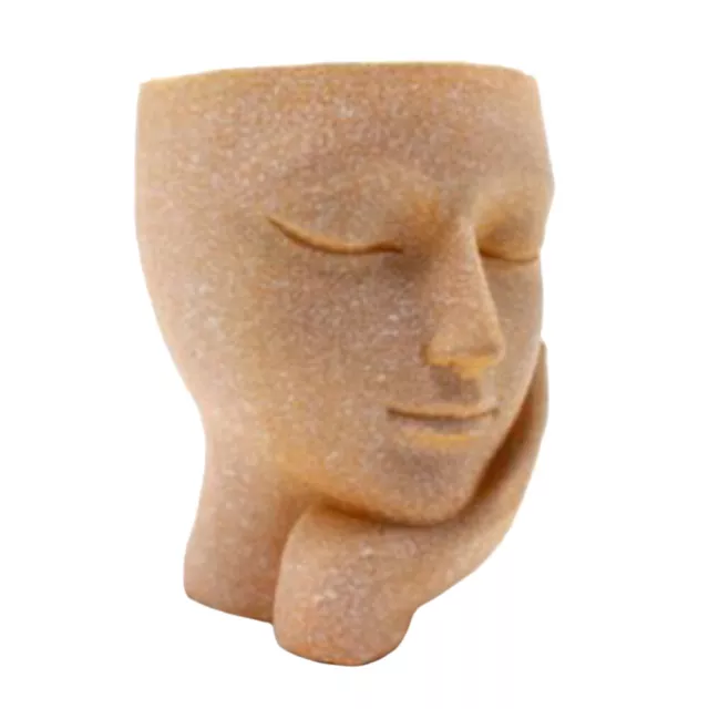 terracotta pot Creative Resin Human Face Flowerpot Unique Wall Hanging