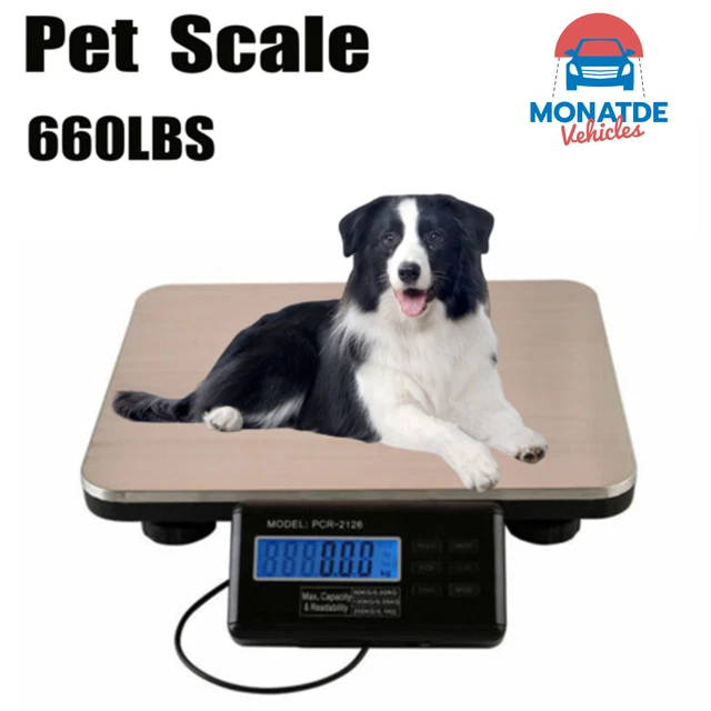 300kg Industry Shipping Postal Scale 660LBS Platform Bench Digital Scale Weight