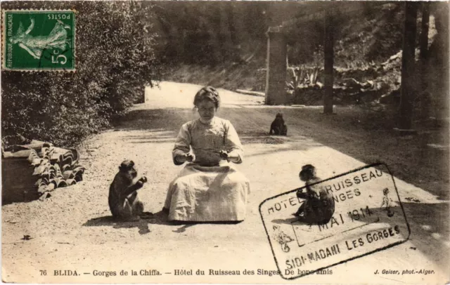 CPA AK BLIDA Hotel du Ruisseau des Monkeys - De Bons Amis ALGERIA (1189231)