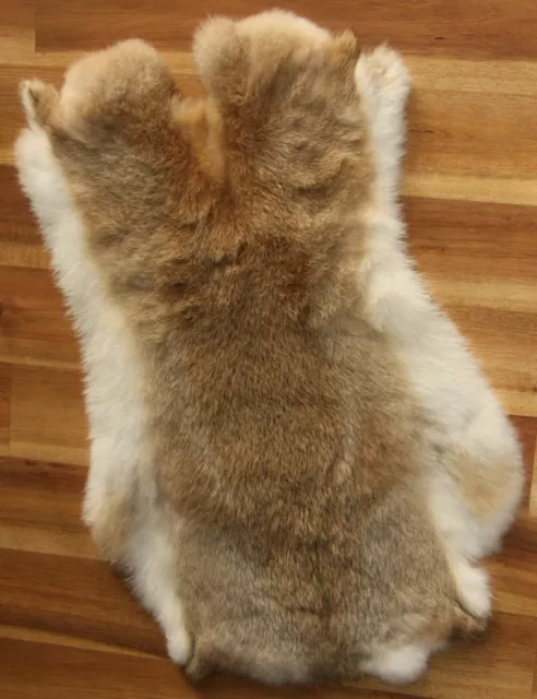 1 X Tanned Rabbit Skin Hide Pelt For Craft Animal Fur Decor Natural 8''-14''