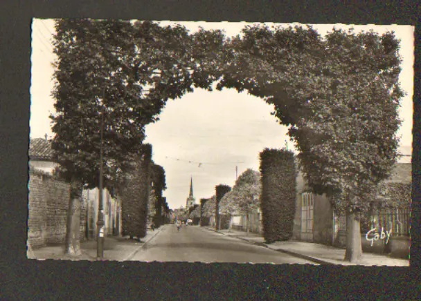 LUCON (85) VILLAS & ARC DE TRIOMPHE en verdure , animé en 1965