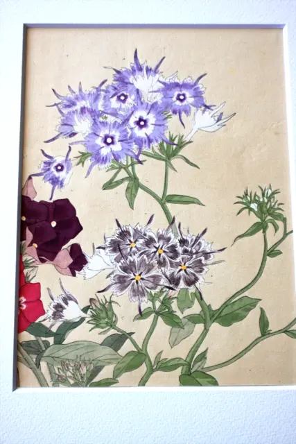 Squisita stampa floreale giapponese anticata in legno del 1917 di Konan...