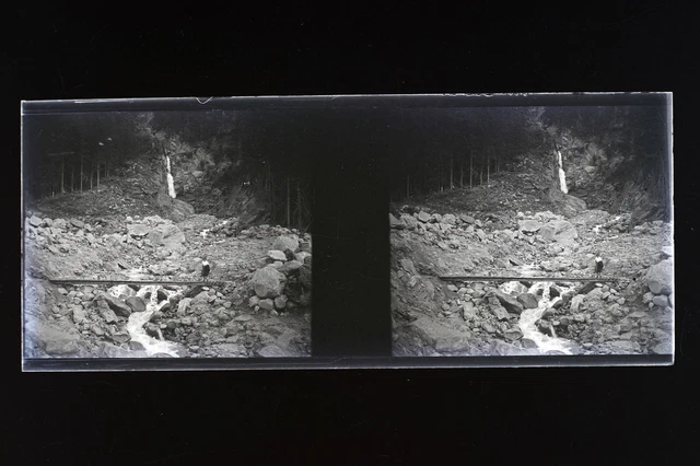 Swiss Photo NEGATIVE Family Amateur PL51L1n9 Glass Plate Vintage c1930