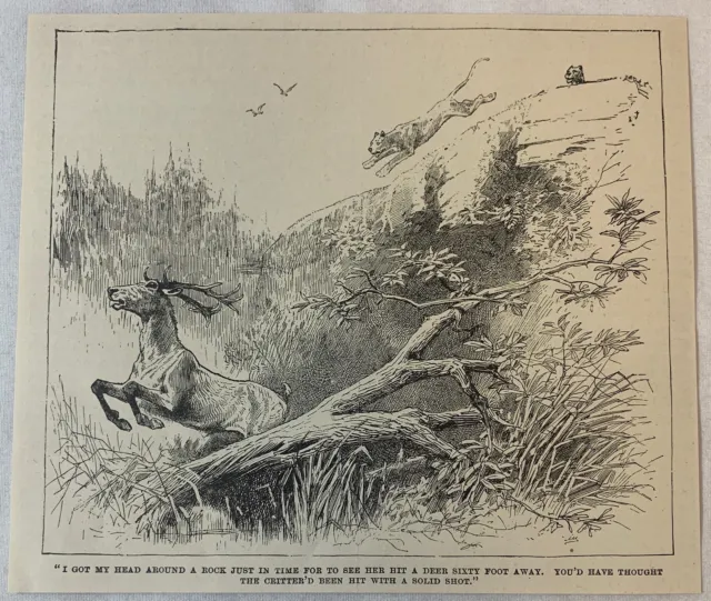 1888 magazine engraving~ MOUNTAIN LION CHASING DEER