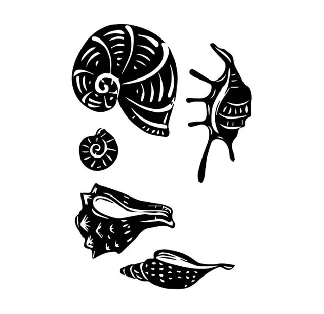 NEW 12” x 12” Set Of 5 Conch Sea Shells Black Vinyl Wall Car Tile Glass Decals