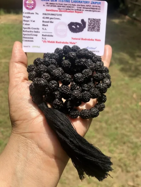 2 X LAB CERTIFICADO 5 Mukhi RUDRAKSHA Negro Rudraksh Mala ROSARIO 108+1...