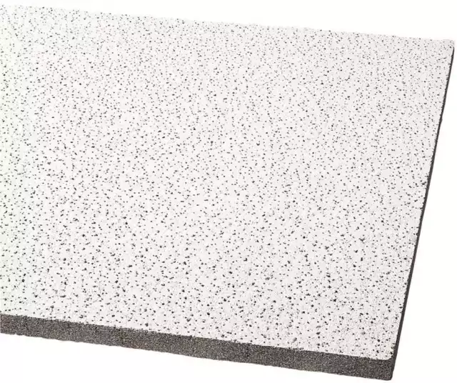 Armstrong CEILINGS Fissured 2 ft. x 2 ft. Lay-In Ceiling Tile ( 64 sq.ft. /Case