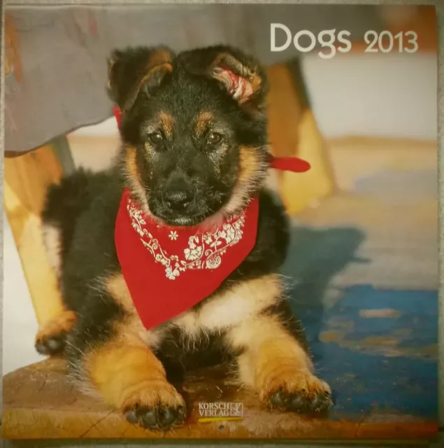Calendario  - Dogs - Cani - 2013 - Korsch Verlag - Nuovo Ma Incompleto