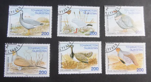 Tajikistan 1996 Birds Gull Partridge SG80/5 used as photo