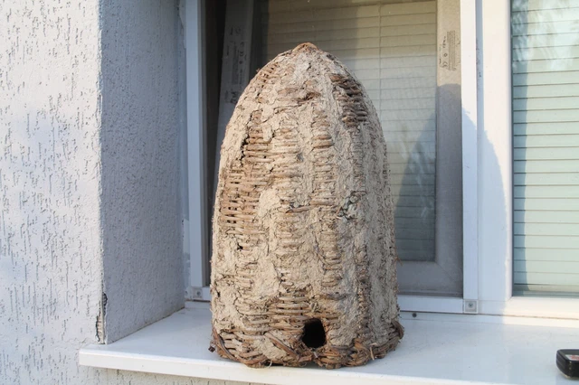 Very old authentic beehive /19-th century/