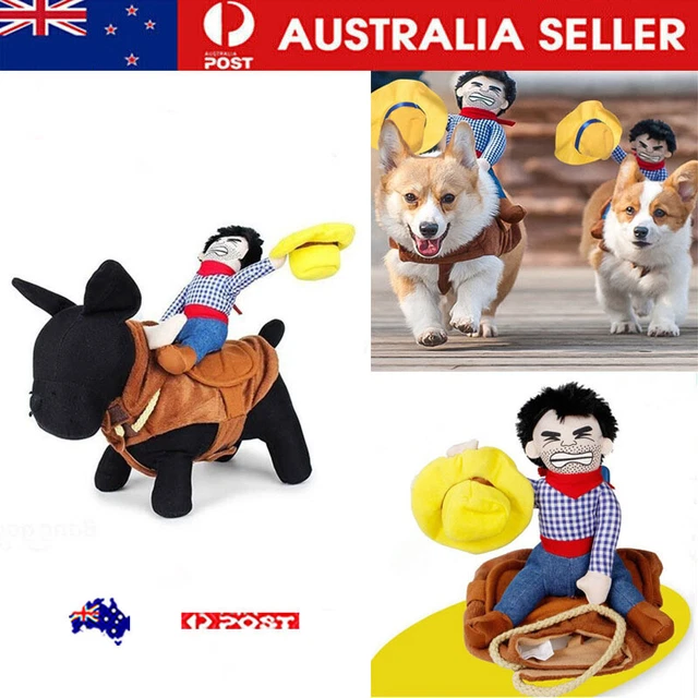 COWBOY RIDER DOG Costume Funny Knight Style with Doll and Hat for