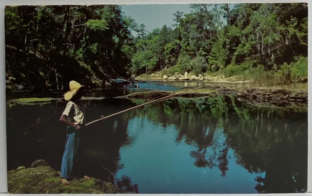 SUWANNEE RIVER FLORIDA Black Women Fishing Way Down Upon The River Postcard