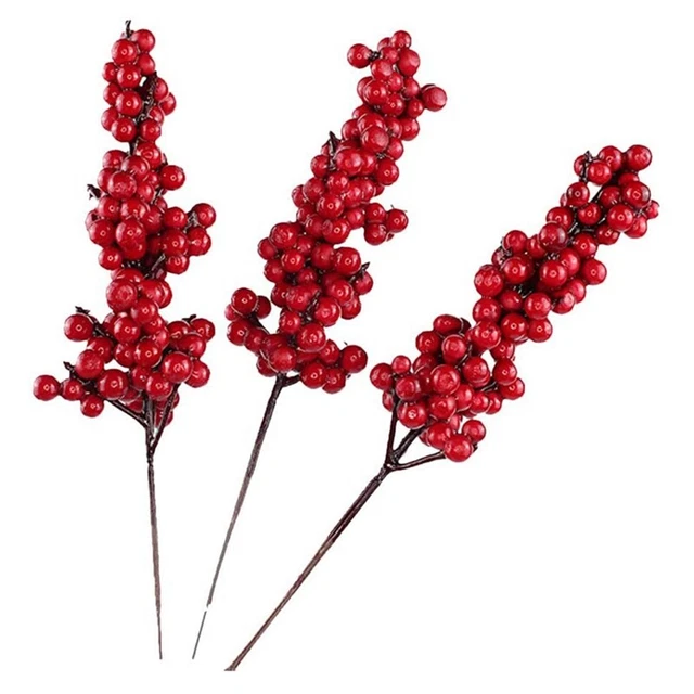 10 PEZZI Bacche Rosse Costiere Rami Decorativi con Bacche Rosse Autunno ZQ1J9